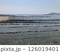 宮崎県青島の鬼の洗濯板3 126019401
