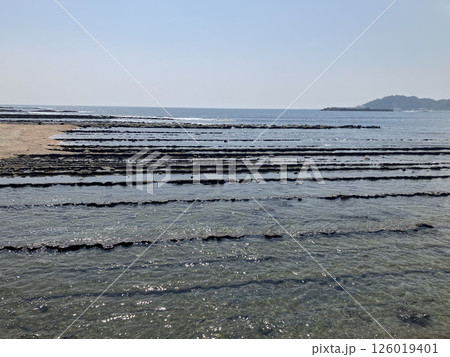 宮崎県青島の鬼の洗濯板3 宮崎県青島の鬼の洗濯板3 126019401