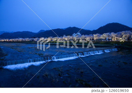 馬見ヶ崎桜ラインライトアップ 馬見ヶ崎桜ラインライトアップ 126019650