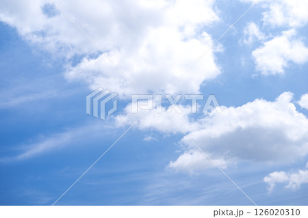 初夏の空 5月 夏 初夏 青空 素材 【東京都】 初夏の空 5月 夏 初夏 青空 素材 【東京都】 126020310