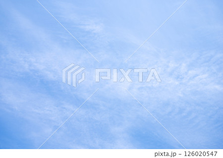 初夏の空 5月 夏 初夏 青空 素材 【東京都】 初夏の空 5月 夏 初夏 青空 素材 【東京都】 126020547