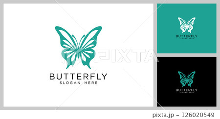 butterfly insect logo vector design 126020549