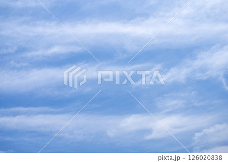 初夏の空 5月 夏 初夏 青空 素材 【東京都】 初夏の空 5月 夏 初夏 青空 素材 【東京都】 126020838