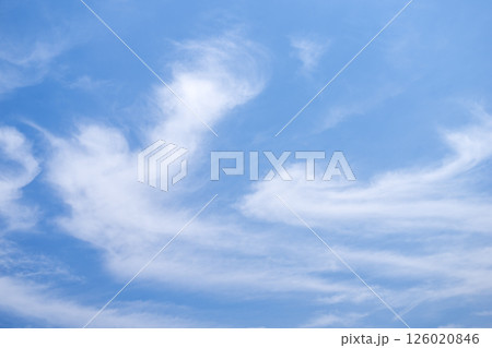 初夏の空 5月 夏 初夏 青空 素材 【東京都】 126020846