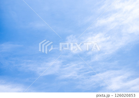 初夏の空 5月 夏 初夏 青空 素材 【東京都】 126020853