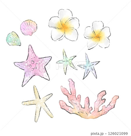 ヒトデと貝殻と珊瑚とプルメリアの水彩イラスト　南国イメージの素材セット 126021099