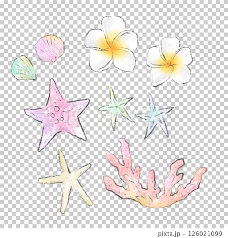 ヒトデと貝殻と珊瑚とプルメリアの水彩イラスト　南国イメージの素材セット 126021099
