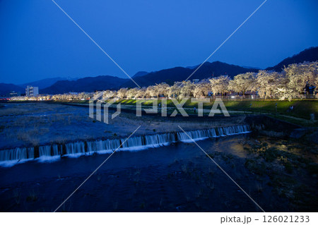 馬見ヶ崎桜ラインライトアップ 126021233