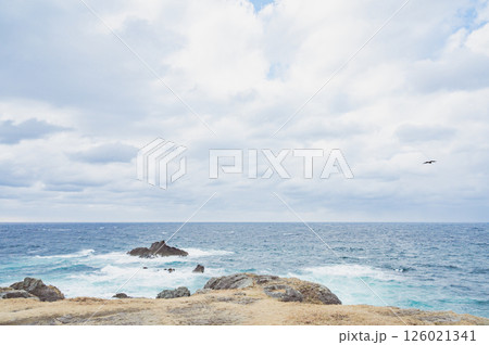 佐渡　春日崎から望む日本海 126021341