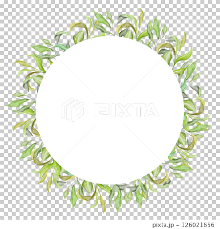 Elegant green leafy spring wreath, blueberry leaves. Romantic botanical watercolor circle frame, white background. Ideal arrangement for wedding, christening invitations, greeting card, save the date 126021656