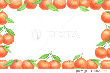 Citrus fruits hand drawn watercolor frame isolated on white background. Tangerines with leaves 126021966