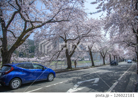 馬見ヶ崎桜ライン 126022181
