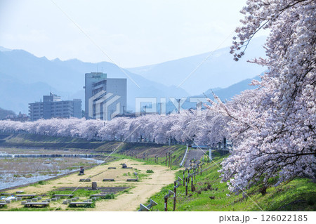 馬見ヶ崎桜ライン 馬見ヶ崎桜ライン 126022185