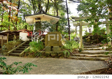湯河原町　万葉公園湯河原惣湯周遊路の太子堂と熊野神社鳥居 126022242
