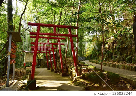 湯河原町　万葉公園湯河原惣湯周遊路と狸福神社 126022244