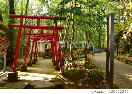 湯河原町　万葉公園湯河原惣湯周遊路と狸福神社 126022245