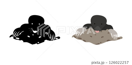 Mole digging and emerging from the ground and its silhouette Mole digging and emerging from the ground and its silhouette 126022257