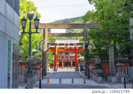 生田神社　第二鳥居から第三鳥居・楼門へ続く参道 126022794