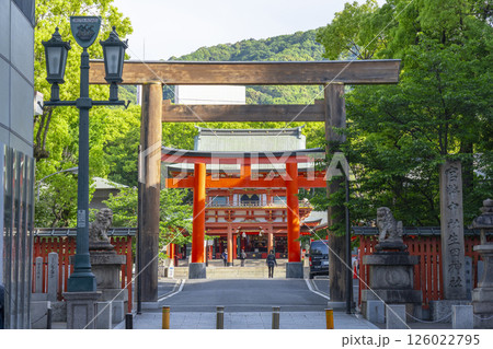 生田神社　第二鳥居から第三鳥居・楼門へ続く参道 126022795