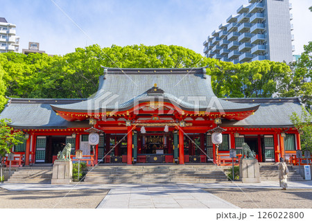 生田神社 朱塗りの立派な拝殿 生田神社 朱塗りの立派な拝殿 126022800