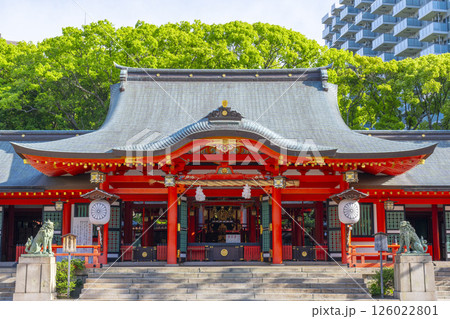 生田神社 朱塗りの立派な拝殿 生田神社 朱塗りの立派な拝殿 126022801