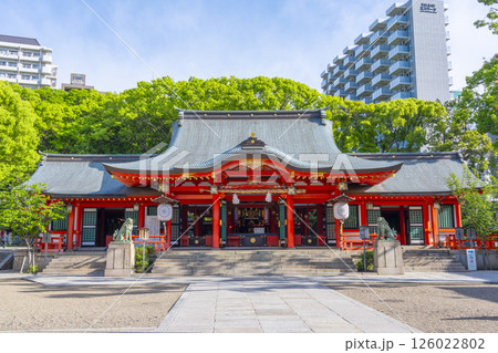 生田神社　朱塗りの立派な拝殿 126022802