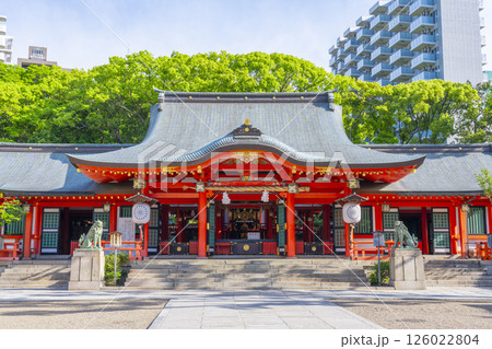 生田神社 朱塗りの立派な拝殿 生田神社 朱塗りの立派な拝殿 126022804