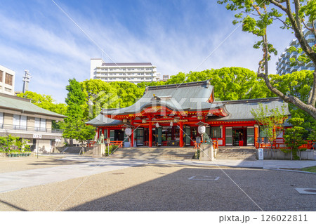 生田神社　朱塗りの立派な拝殿 126022811