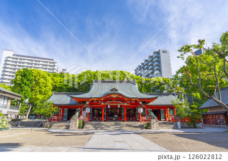 生田神社　朱塗りの立派な拝殿 126022812