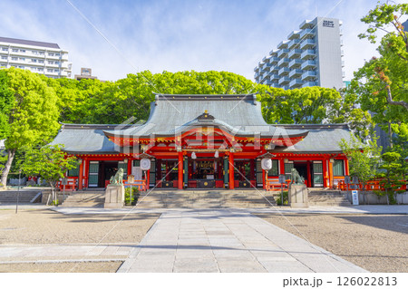 生田神社 朱塗りの立派な拝殿 生田神社 朱塗りの立派な拝殿 126022813