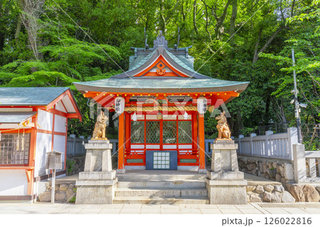 生田神社境内に鎮座する蛭子神社 生田神社境内に鎮座する蛭子神社 126022816