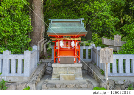 生田神社境内に鎮座する戸隠神社 126022818