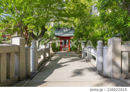 生田神社　生田の池に鎮座する市杵島神社 126022819