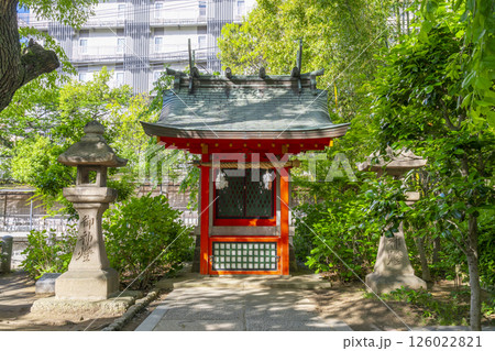 生田神社　生田の池に鎮座する市杵島神社 126022821
