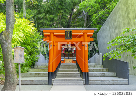 生田神社境内に鎮座する稲荷神社 連なる鳥居 生田神社境内に鎮座する稲荷神社 連なる鳥居 126022832