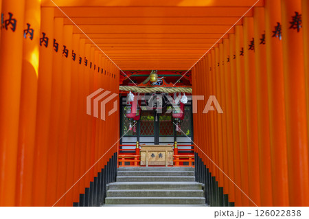 生田神社境内に鎮座する稲荷神社　連なる鳥居 126022838