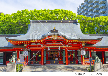 生田神社 朱塗りの立派な拝殿 生田神社 朱塗りの立派な拝殿 126022856