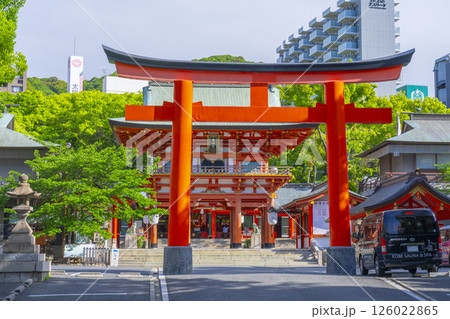 生田神社 第三鳥居から楼門へ続く参道 生田神社 第三鳥居から楼門へ続く参道 126022865