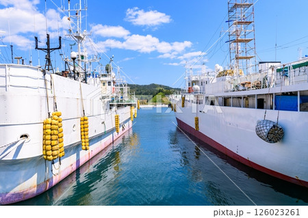 漁港の春 船と海と 126023261