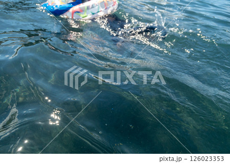 11 years old 126023353