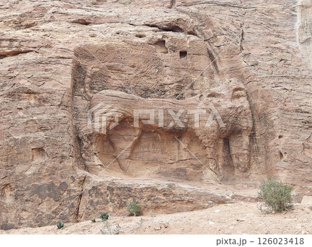 ペトラ遺跡のライオンスプリング 126023418