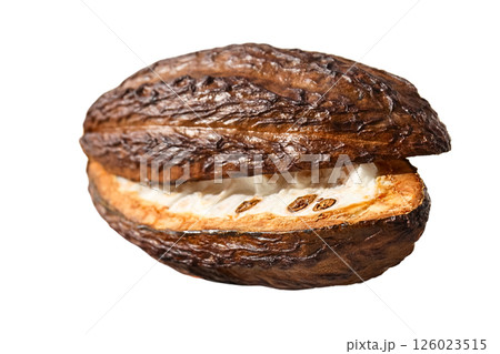 Cacao pod split open shows inner white pulp and seeds on a clean, white background, isolated on white, PNG 126023515