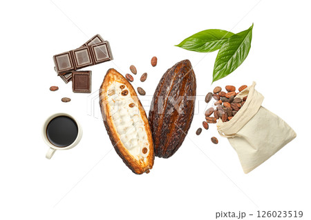 Experience vibrant cacao pods, rich chocolate, and aromatic coffee in a delightful showcase, isolated on white, PNG Experience vibrant cacao pods, rich chocolate, and aromatic coffee in a delightful showcase, isolated on white, PNG 126023519