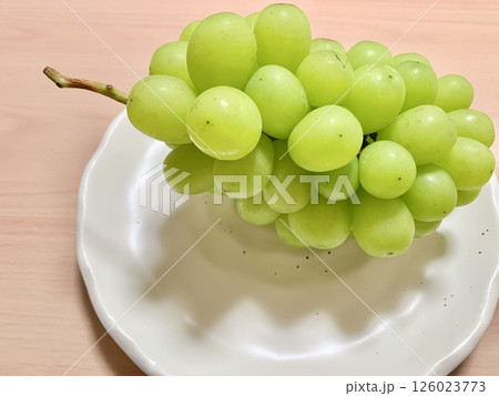 写真素材:白い皿に盛られたマスカット 写真素材:白い皿に盛られたマスカット 126023773