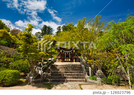 新緑の常宮神社 新緑の常宮神社 126023796