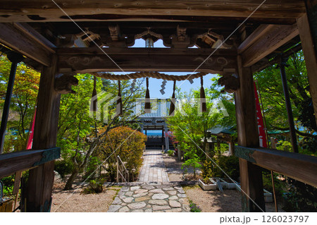 新緑の常宮神社 新緑の常宮神社 126023797