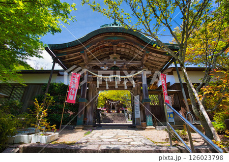 新緑の常宮神社 126023798