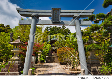 新緑の常宮神社 新緑の常宮神社 126023799