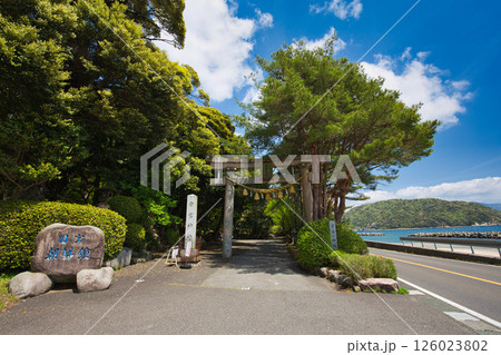 新緑の常宮神社 新緑の常宮神社 126023802