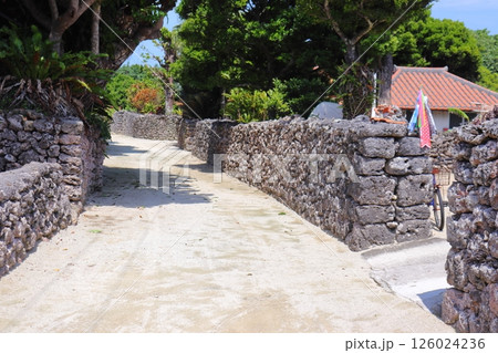 竹富島の赤瓦の住宅と白い路地 126024236